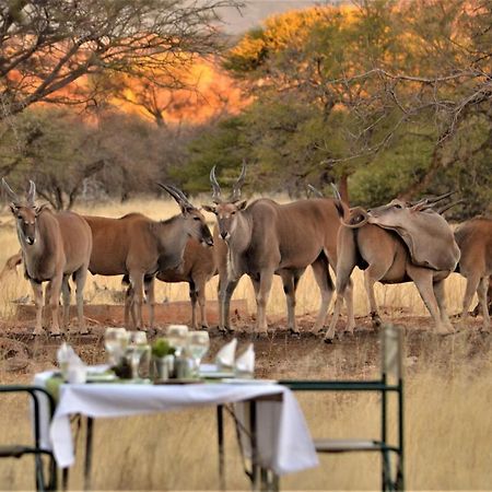 Ohange Namibia Lodge Otavi Luaran gambar