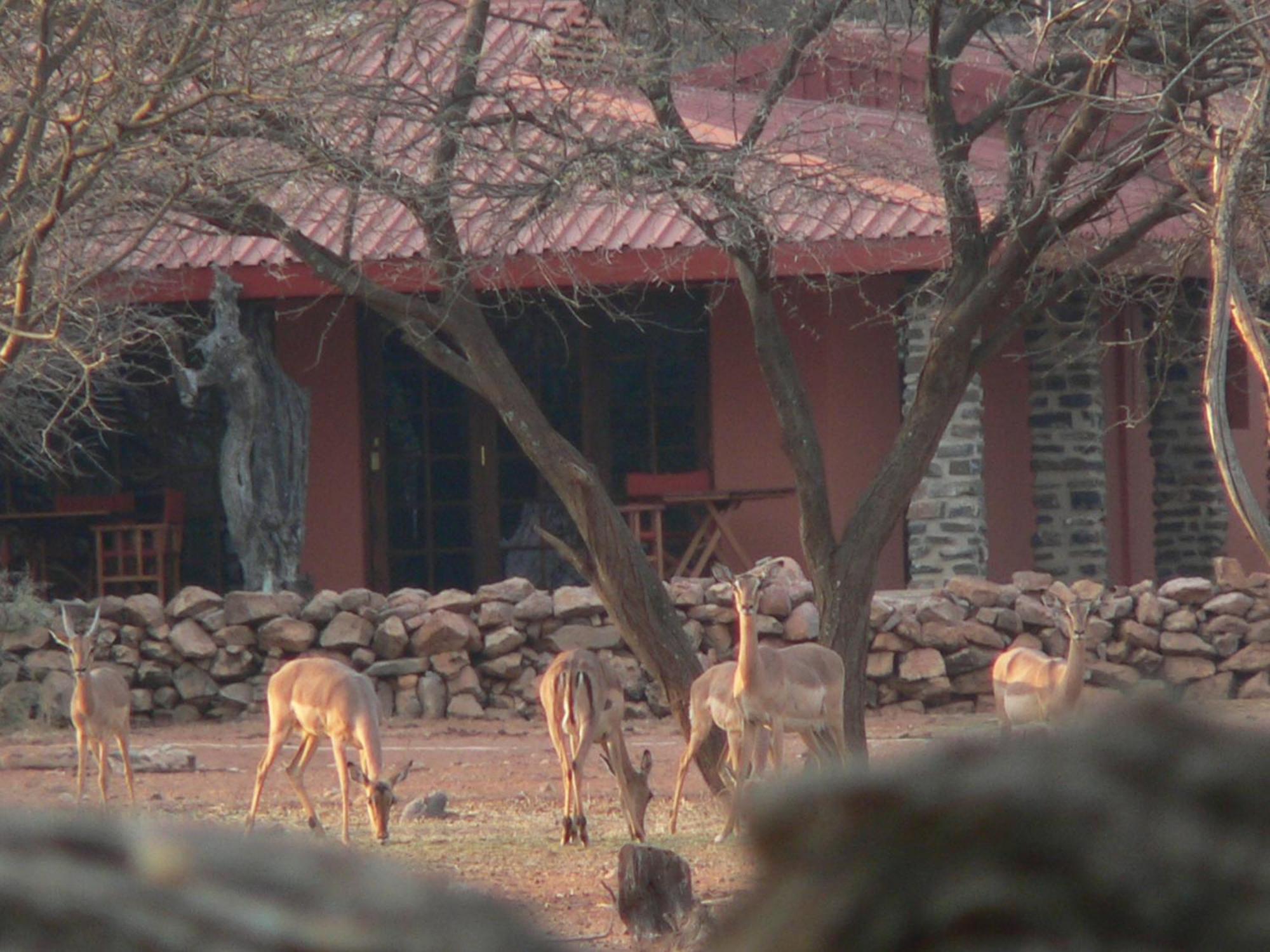 Ohange Namibia Lodge Otavi Luaran gambar